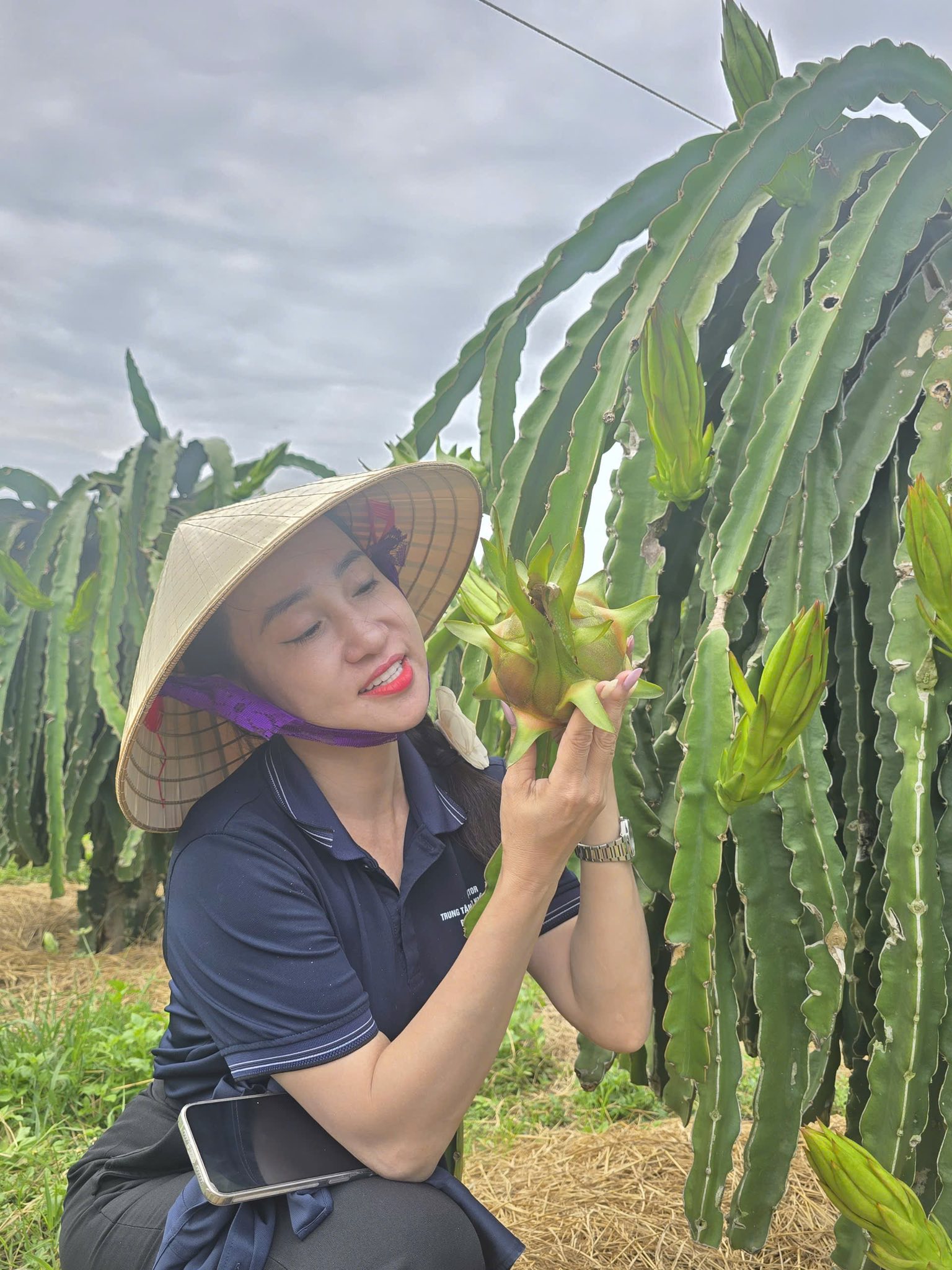 Sức khỏe đất