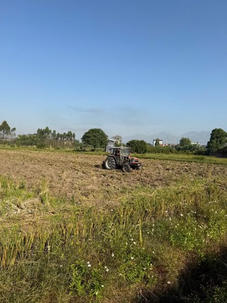 Công ty TNHH Nông Lâm Nghiệp ứng dụng CNC Bình Xuyên làm đất chuẩn bị cho vụ lúa Đông Xuân 2026